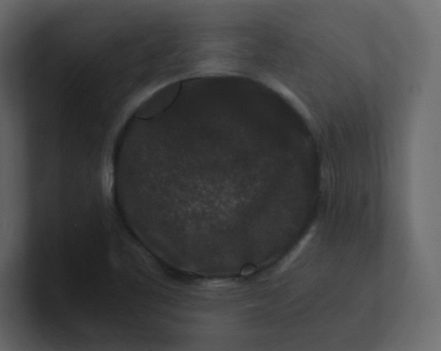 X0000101101461200807101437