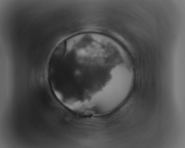 X0000101101463200807101437