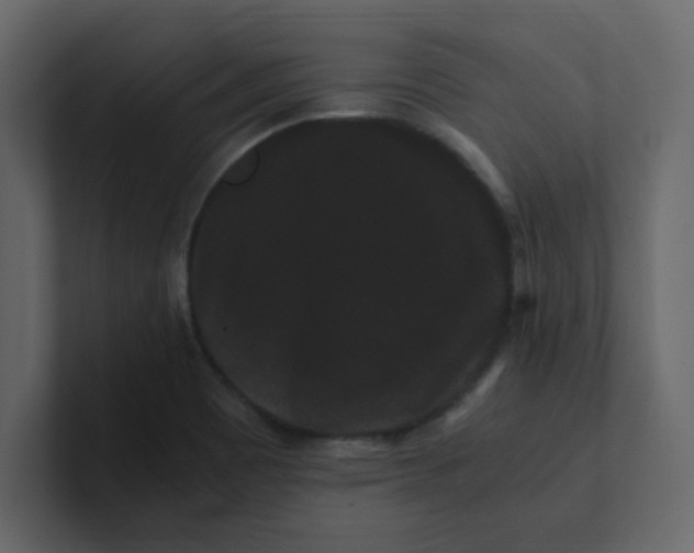 X0000101101465200807101437