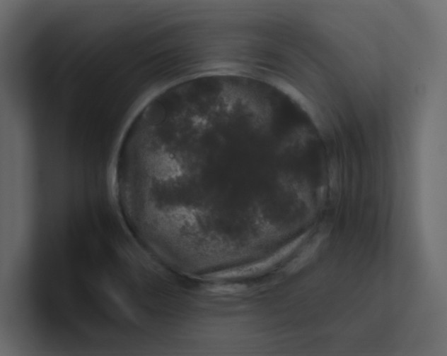 X0000101101466200807101437