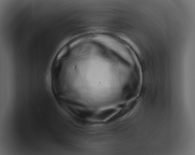 X0000101101467200807101437