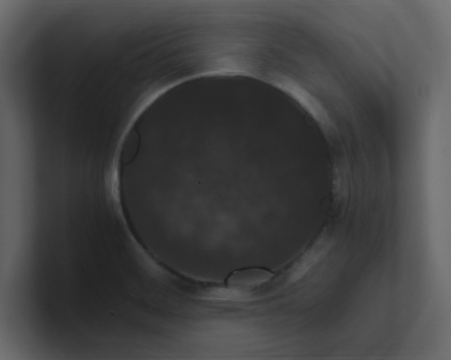 X0000101101468200807101437