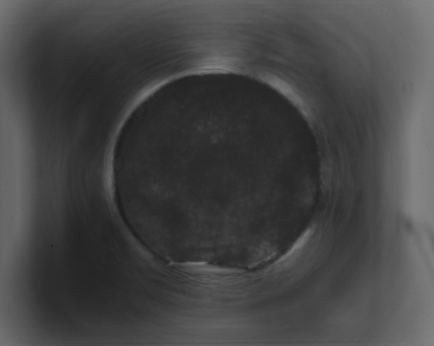 X0000101101469200807101437