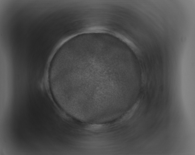 X0000101101470200807101437