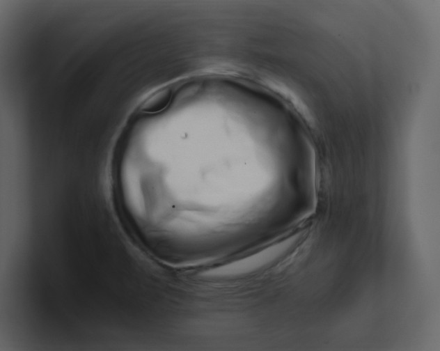 X0000101101471200807101437