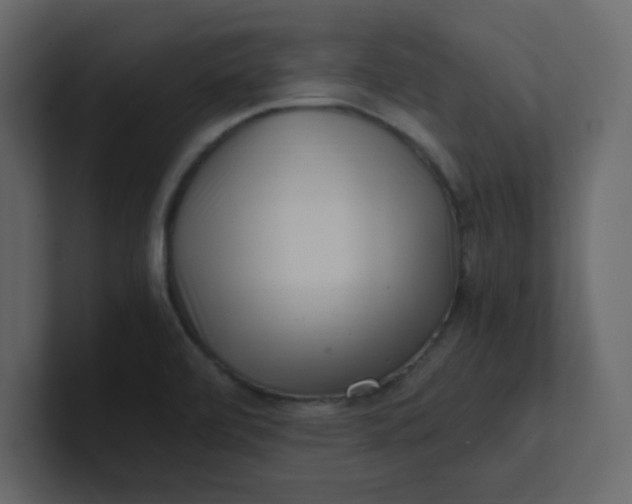 X0000101101472200807101437