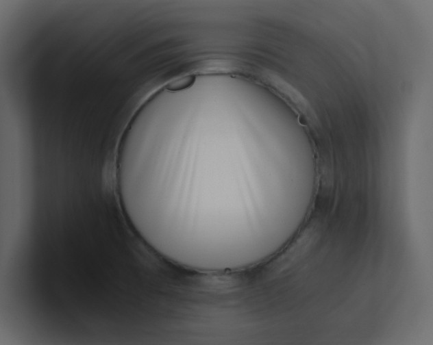 X0000101101473200807101437