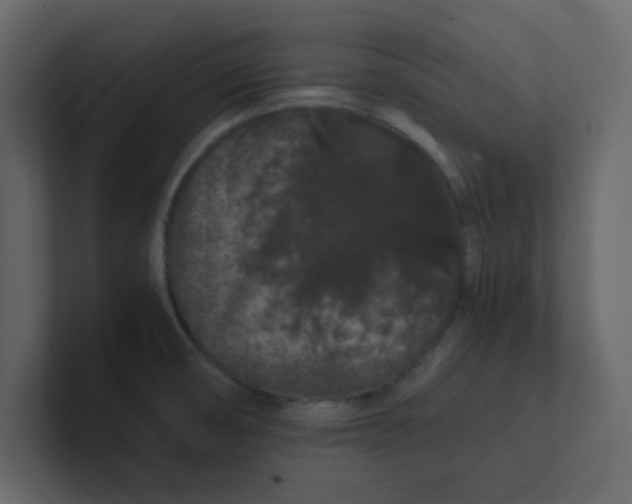 X0000101101474200807101437