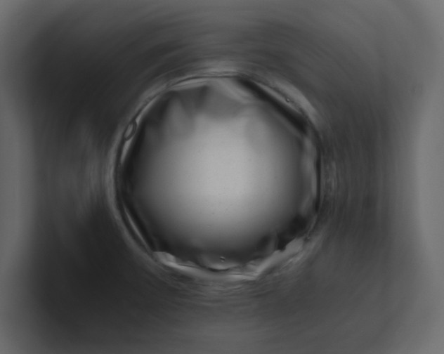 X0000101101475200807101437