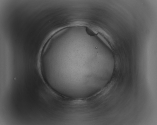 X0000101101478200807101437