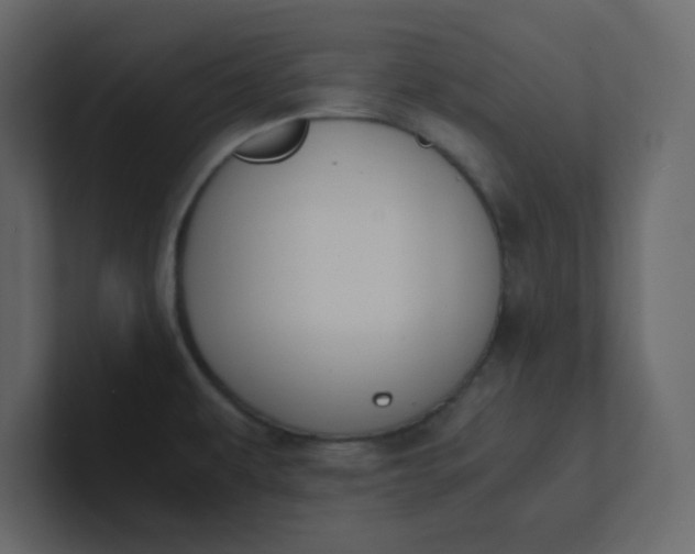 X0000101101479200807101437