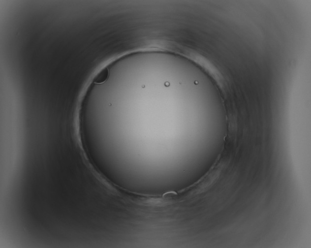 X0000101101480200807101437