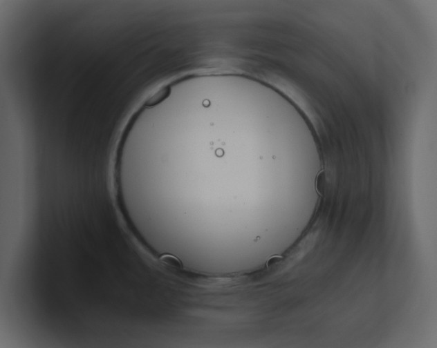 X0000101101485200807101437
