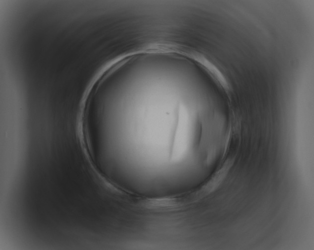 X0000101101486200807101437