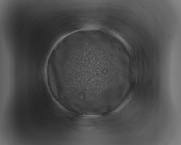 X0000101101487200807101437