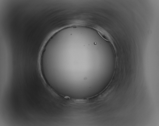 X0000101101488200807101437