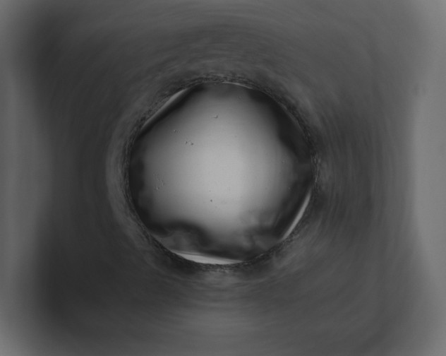 X0000101101489200807101436