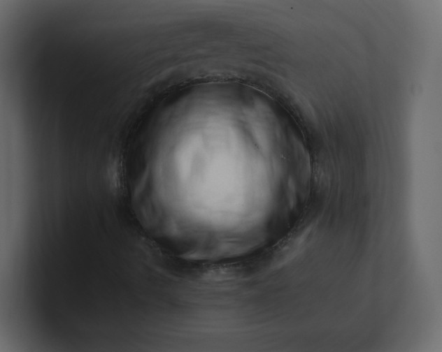 X0000101101490200807101436