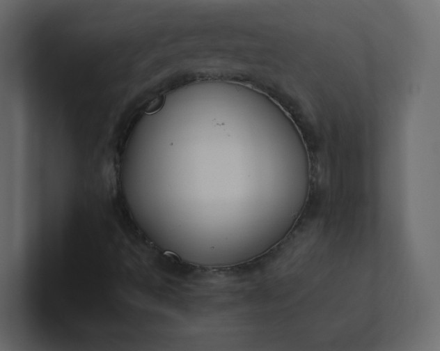 X0000101101493200807101436