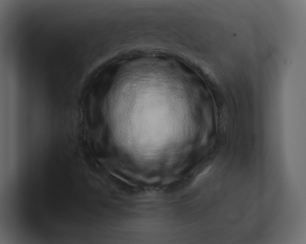 X0000101101494200807101436