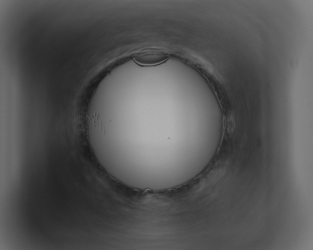 X0000101101496200807101436