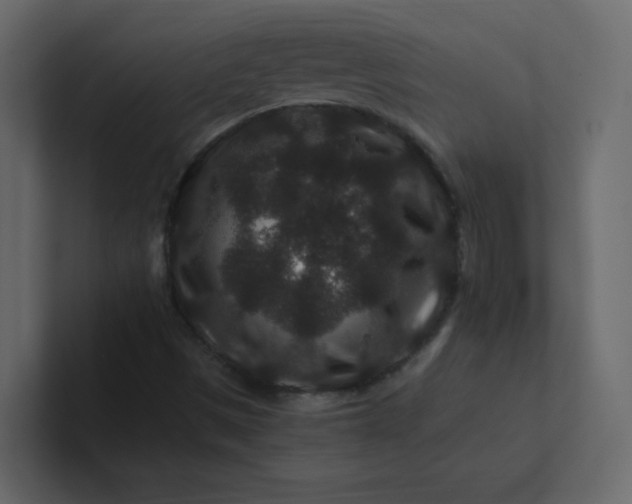 X0000101101497200807101436