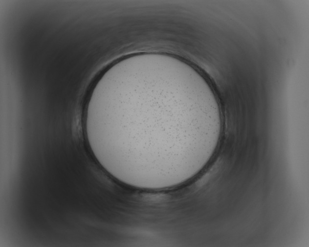 X0000101101498200807101436