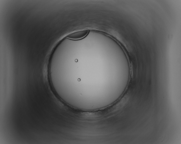 X0000101101500200807101436