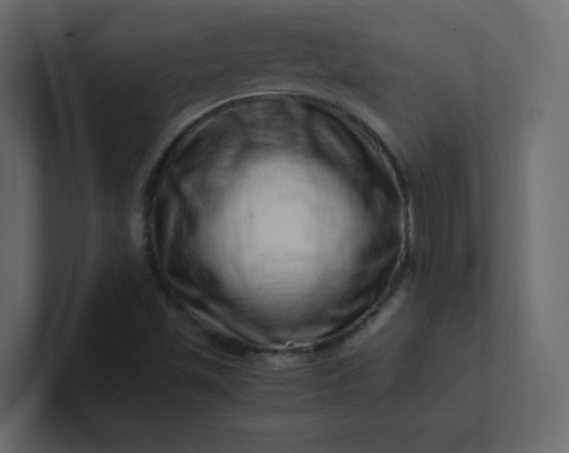 X0000101101501200807101436