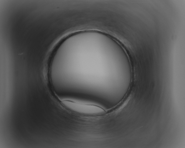 X0000101101502200807101436
