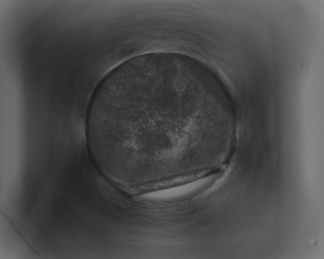 X0000101101505200807101436