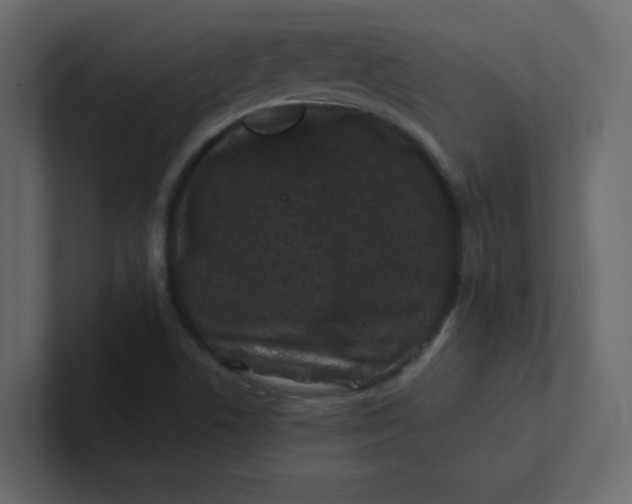 X0000101101506200807101436