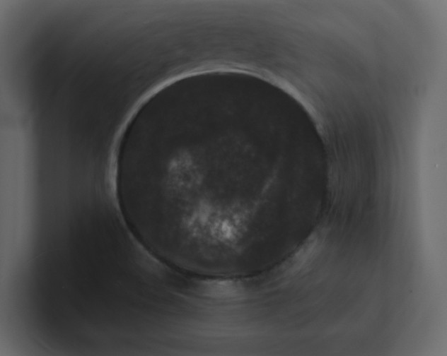 X0000101101508200807101436