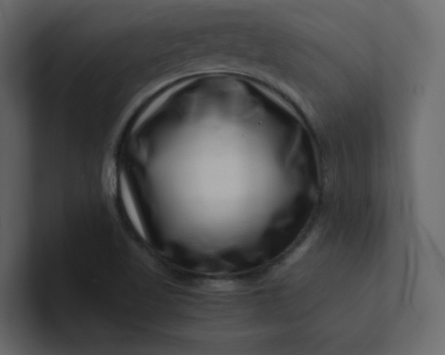 X0000101101509200807101436