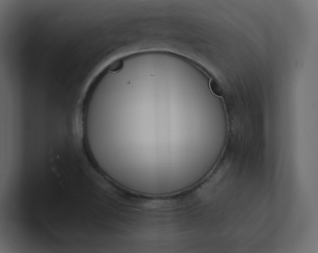 X0000101101510200807101436