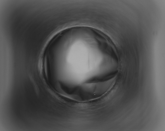 X0000101101511200807101436
