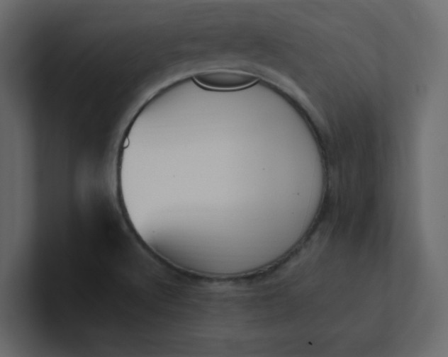 X0000101101512200807101436