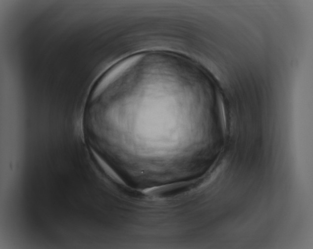 X0000101101513200807101436