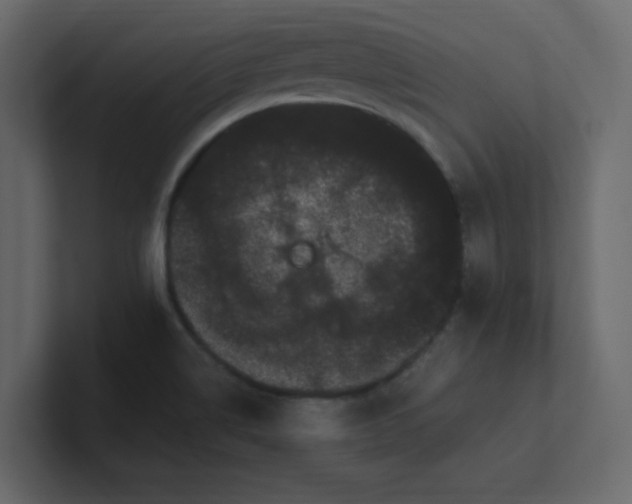 X0000101101514200807101436