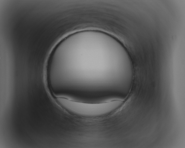 X0000101101518200807101436