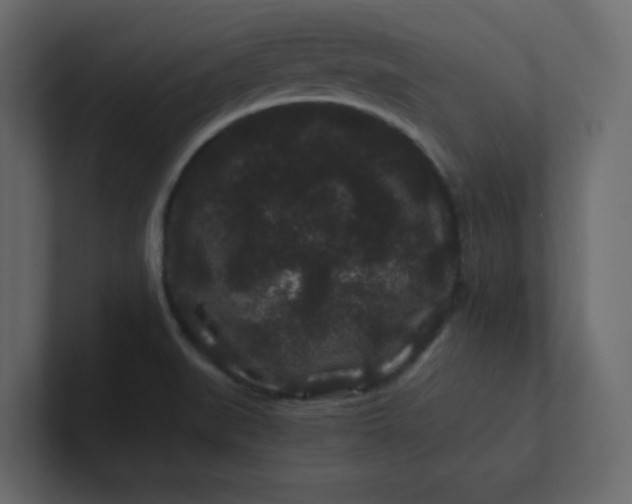 X0000101101519200807101436