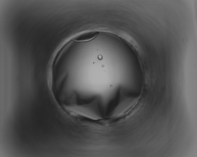 X0000101101520200807101436