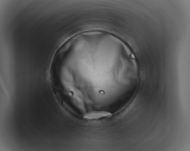 X0000101101521200807101436
