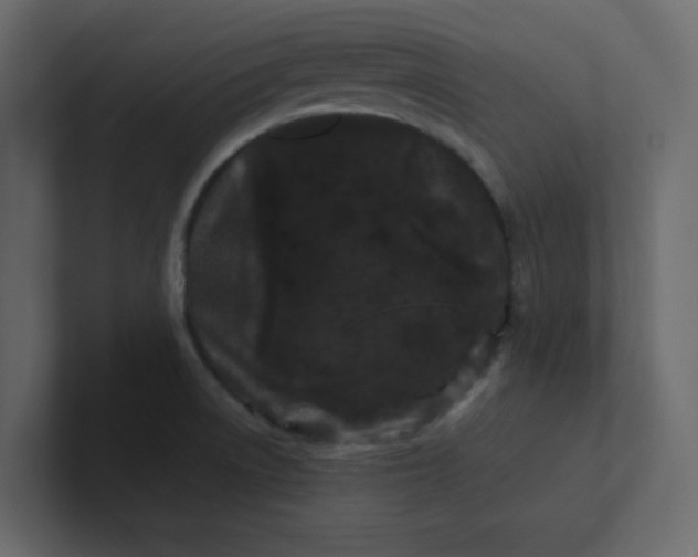 X0000101101522200807101436
