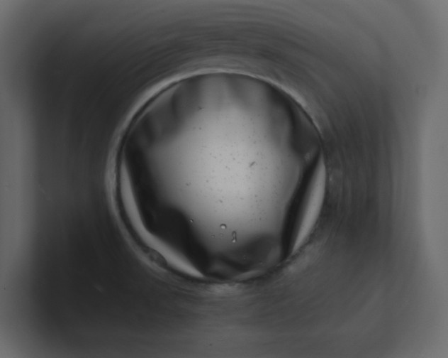 X0000101101523200807101436