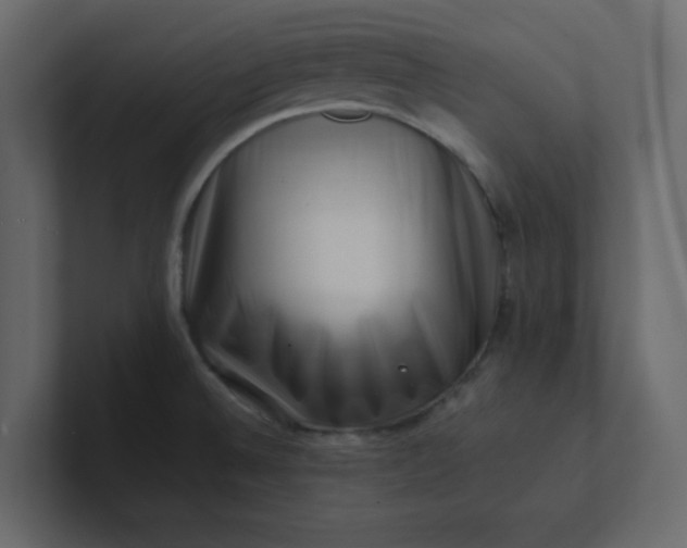 X0000101101524200807101436