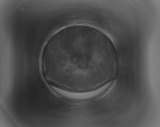 X0000101101525200807101437