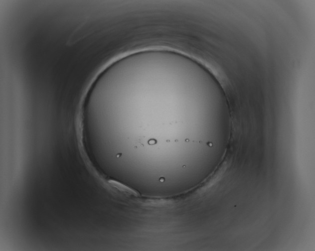 X0000101101526200807101437