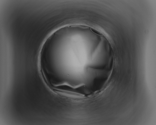 X0000101101528200807101437