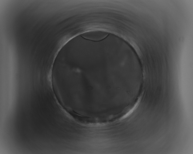 X0000101101529200807101437